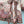 Zimmermann 2026 Dress 470