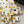 Dior 26SS Floral Silk Shirt White Yellow in Mulberry Silk 203811
