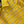 Miu Miu Yellow Striped Knit Short-Sleeve T-Shirt in Cotton 221234