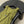 Miu Miu Green Lace-Trimmed Knit Vest Olive Green in Cotton 219026