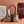 Gucci Ophidia 28 Boston Bag Brown in Canvas 284940