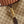 Gucci 26 Jackie 31.5cm Brown in Canvas 284981