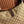 Gucci 26 Jackie 31.5cm Brown in Canvas 284981