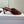 Dior 26 Sandal 70mm Burgundy in Cowhide 727961