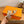 HM  Sandal 60 Beige in Calfskin 743968