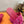 HM  Sandal Pink in Suede 743982