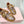 Miu 26 Sneaker Brown in Sheepskin 747378
