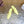 Loew Mule Slip-on Kitten Heel 45 Lemon Yellow in Sheepskin 749401