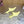Loew Mule Slip-on Kitten Heel 45 Lemon Yellow in Sheepskin 749401