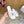 Loew Sandal White in Sheepskin 749330