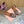 Miu Fisherman Sandal Brown White in Cowhide 749064