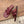 CC 26 Sandal Burgundy in Cowhide 748527