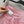 Loew Tiered Tulle Skirt Pink in Cotton 381558
