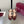 GG Buckle Stiletto Round Toe Heel Height 85mm Burgundy in Calfskin 784469