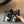 CC 26s Coco Beach Mary Jane Flats Black Cowhide