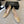 CC 26ss Logo Square-Toe Pumps Beige Lambskin 835689