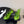 CC 26S Square-Toe Mary Jane Slingback Pumps Black Green Lambskin 835672