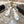 CC 2026 Platform Sandals 11cm White Sheepskin 834300