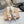 GR Pointed-Toe Mule Sandals 8.5cm Beige Patent Cowhide 851873