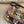 CC Graffiti Messenger Bag 42cm Multicolor Canvas