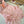 CC One-Piece Bikini Pink 330839