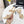 CC 26s Floral Sandal 7.5cm Beige Sheepskin 867465