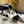 CC Square Toe Mary Jane Pumps Black White Cowhide Leather 875287