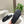 Loew Ease Monogram Slides Black Lambskin Leather 881378