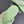 CC Crystal Logo Platform Thong Sandals Flat Lime Green Tweed 887780