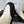 CC Coco Beach 2026 Short Boots Black White Mixed Fibers & Rubber 887679