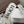 Loew Paula's Ibiza Petal Flower Sandals White Leather 889897
