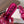 Loew Paula's Ibiza Petal Flower Sandals Pink Leather 889896