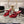 CC 26A Camellia Double C Square Toe Mules 10cm Red Stone-Grain Cowhide 890675