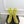 Alaia Boots 5.5cm Fishnet Ankle Boots Yellow Mesh Patent Leather 892044
