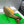 BV 26s Blink Intrecciato Mules 4.5cm Tan Brown Leather 896570