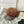 CD Beret Hat  212635