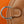 HM In-the-Loop Belt 19CM Bag Brown Swift