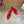 CE Macaron Triomphe Button Mules Ultra Red Leather 949379