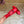 CE Macaron Triomphe Button Mules Ultra Red Leather 949379