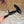 CE Macaron Triomphe Button Mules Ultra Black Leather 949378