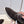 LP Sea-Sail Walk Boat Shoes Dark Brown Suede 954498