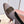 LP Bow Ballet Flats Chocolate Brown Satin 954497
