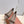 LP Primula Pointed-Toe Ballet Flats Silk Bow Taupe Grey Suede 954476