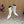 YSL Pointed-Toe Stiletto Ankle Boots 8CM White Leather 955834