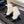 CC Sock Ankle Boots Block Heel 6cm Cream Black Suede Knit 958124