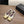 CC Square-Toe Ballet Flats White Gold Lambskin 961514