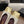 CC Square-Toe Ballet Flats White Gold Lambskin 961514