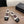 CC Square-Toe Mary Jane Flats White Black Lambskin 961511