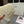 CC Fisherman Hat Woven 215919