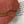 Miu Newsboy Cap 215958
